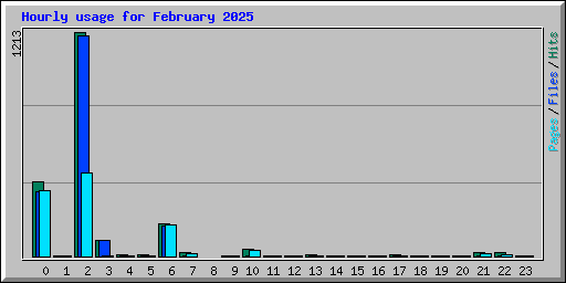 Hourly usage for February 2025