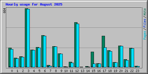 Hourly usage for August 2025