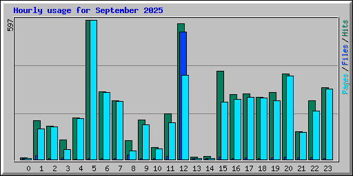 Hourly usage for September 2025