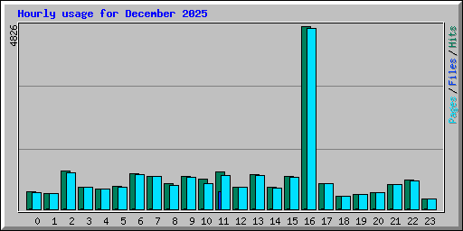 Hourly usage for December 2025