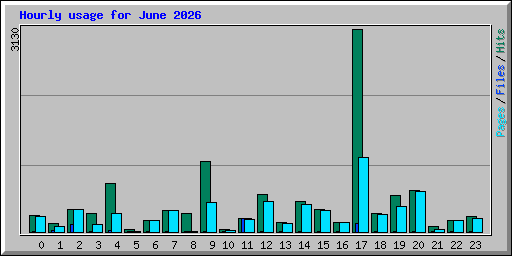 Hourly usage for June 2026