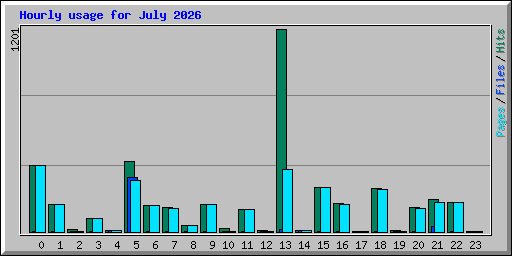 Hourly usage for July 2026