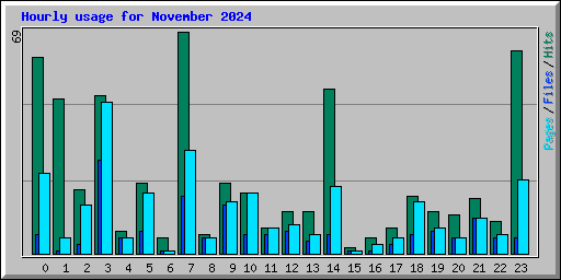 Hourly usage for November 2024