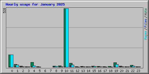 Hourly usage for January 2025