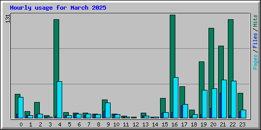 Hourly usage for March 2025