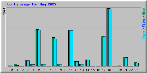 Hourly usage for May 2025