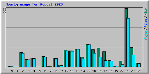 Hourly usage for August 2025