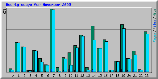 Hourly usage for November 2025