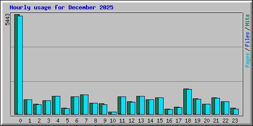 Hourly usage for December 2025
