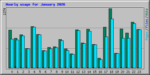 Hourly usage for January 2026