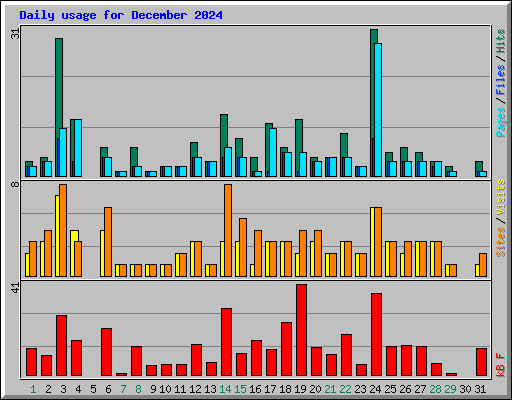 Daily usage for December 2024