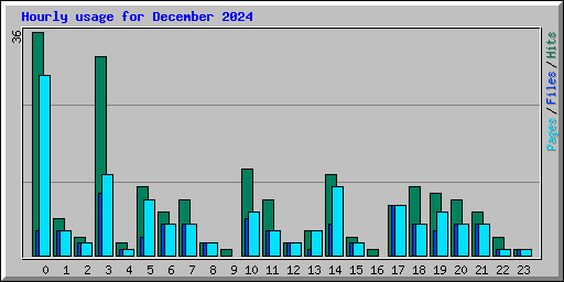 Hourly usage for December 2024