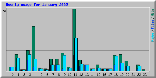 Hourly usage for January 2025