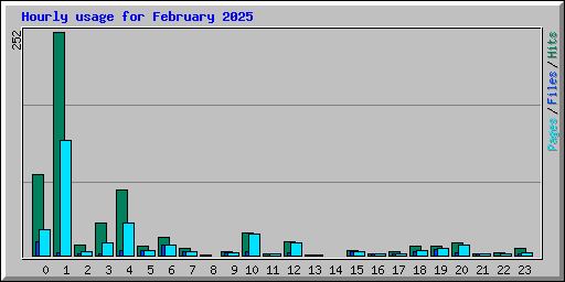 Hourly usage for February 2025