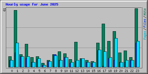 Hourly usage for June 2025