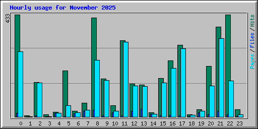 Hourly usage for November 2025