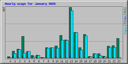 Hourly usage for January 2026