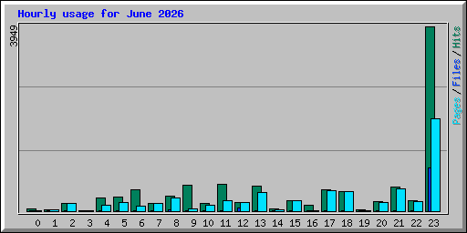 Hourly usage for June 2026