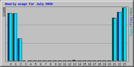 Hourly usage for July 2026