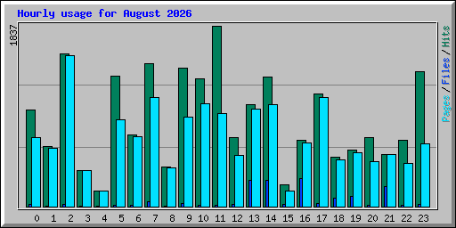 Hourly usage for August 2026