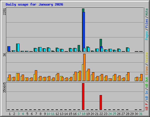 Daily usage for January 2026