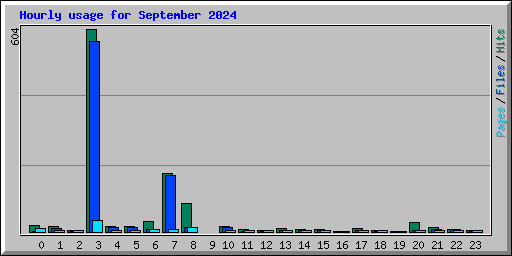 Hourly usage for September 2024
