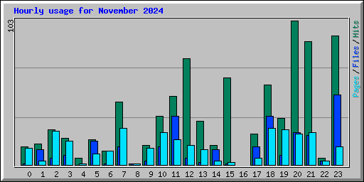 Hourly usage for November 2024