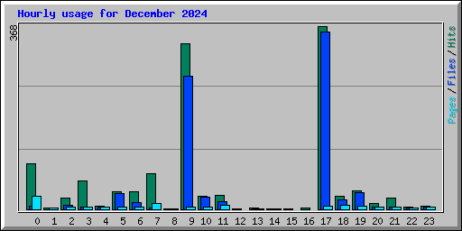Hourly usage for December 2024