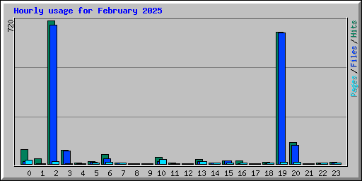 Hourly usage for February 2025