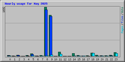 Hourly usage for May 2025