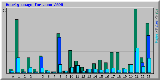 Hourly usage for June 2025