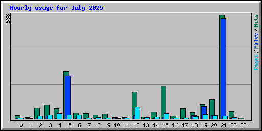 Hourly usage for July 2025