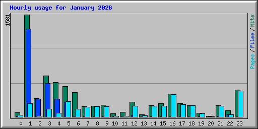 Hourly usage for January 2026