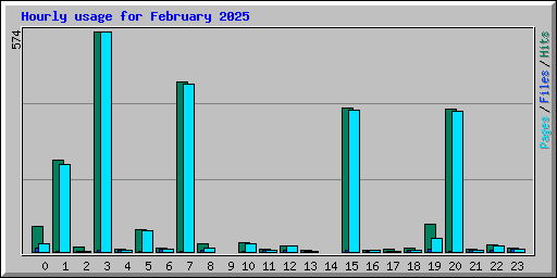 Hourly usage for February 2025