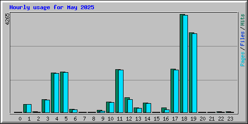 Hourly usage for May 2025