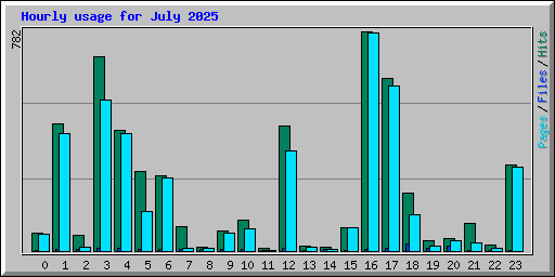 Hourly usage for July 2025