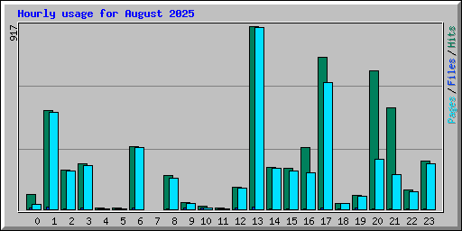 Hourly usage for August 2025