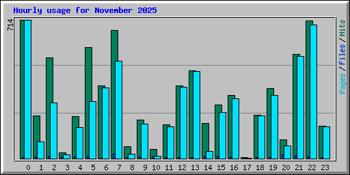 Hourly usage for November 2025