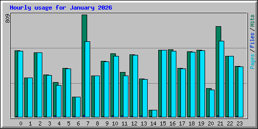 Hourly usage for January 2026