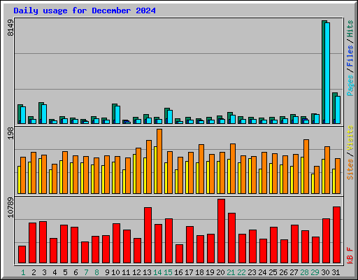 Daily usage for December 2024