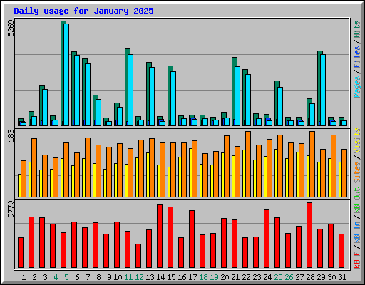 Daily usage for January 2025