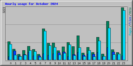 Hourly usage for October 2024