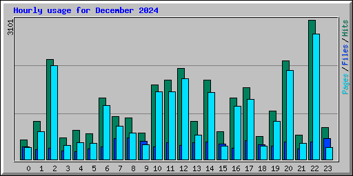 Hourly usage for December 2024