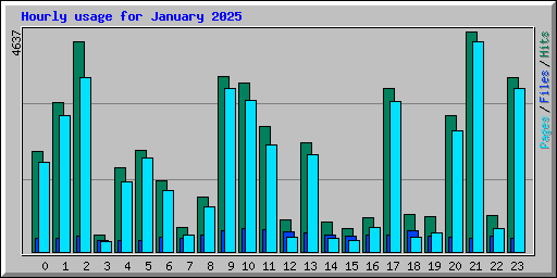 Hourly usage for January 2025