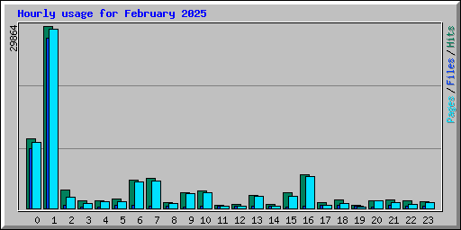 Hourly usage for February 2025