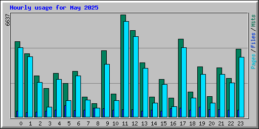 Hourly usage for May 2025