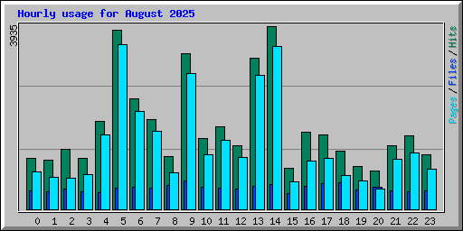 Hourly usage for August 2025