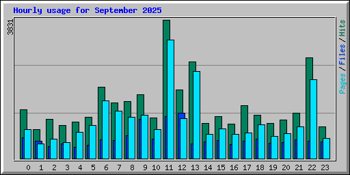 Hourly usage for September 2025