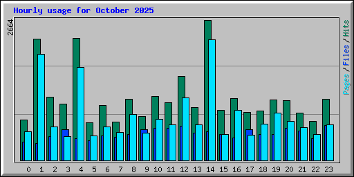 Hourly usage for October 2025
