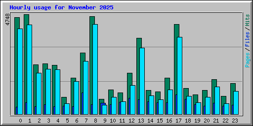 Hourly usage for November 2025
